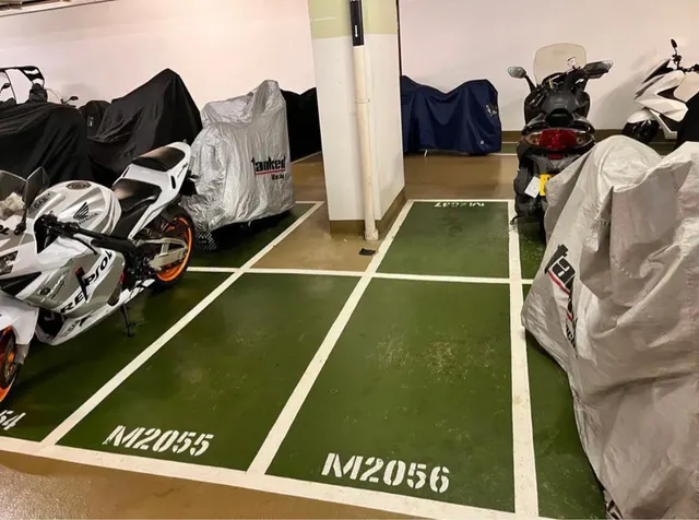 碧堤半島縮圖 2