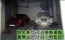 金寶花園縮圖 2