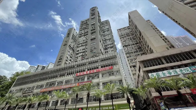 旺角東窩打老道縮圖 1