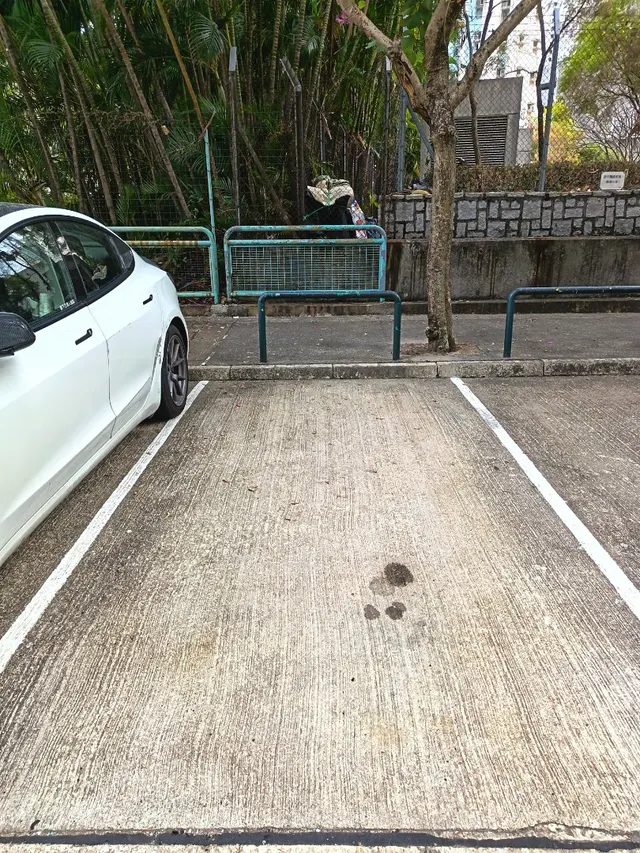 坑口縮圖 1
