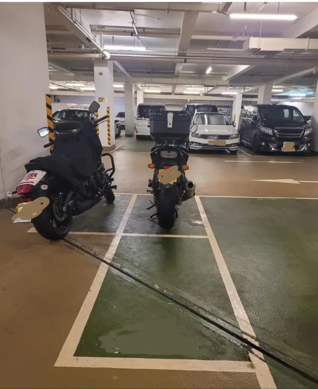 碧堤半島縮圖 1