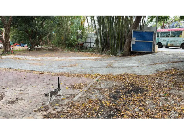坪輋近馬路邊縮圖 2