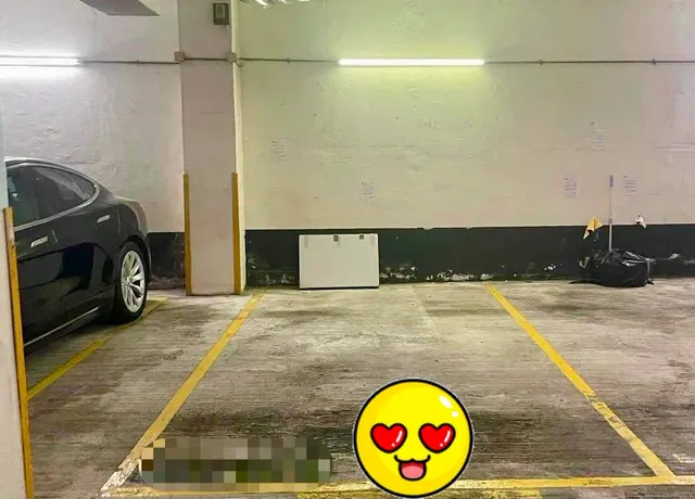 麗都花園車位