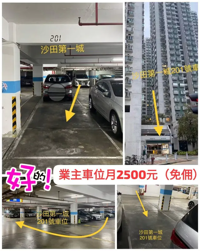 沙田第一城縮圖 1