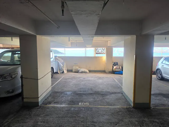 麗景大廈車位